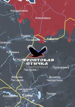 Владислав Шурыгин: Сумское направление. Успехи ВС РФ. 08.08