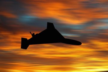 ��: �� �� ���������� �������������� �������� ������������� ����������� �� �������
