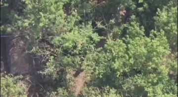 ���� ���������: ����������� ������� � ������� ������� ����������