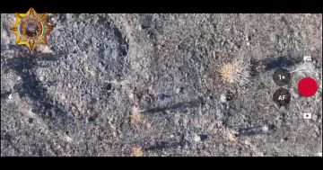 Апти Алаудинов: Уничтожение КРУ, ждунов, БК и укрытий противника