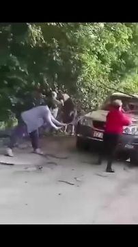 ������� - ������� ������ ��������� ��������� ��� ������� � ���������