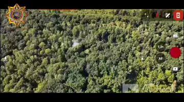 ���� ���������: ����������� ����� ���� � ������� ����������