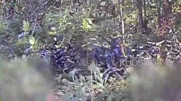 ������ �������: � ������� ������� ��������� ������� ���� ����� ��� 44-�� ���������� ������� ����������� ����� ������ ���������� � ���������� ������ ������� ������ ���� R-18, ����� � FPV-������� � ����� ����������...