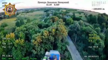 ���� ���������: ����������� �������������� (������) � ����� ����� ����������