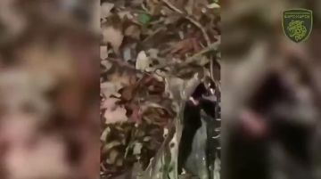 Записки ветерана: Сегодня ночью бойцы мобильной огневой группы добровольческой бригады «БАРС-Курск» сбили из обычного пулемёта украинскую дальнобойную крылатую ракету FP-5 Flamingo, которая была запущена с территории Сумской...