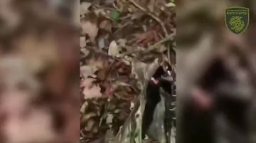 � ������� ������� ����� ����� ����� �� ������� ������ ���������