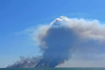 Сводка СВО на утро 24 августа