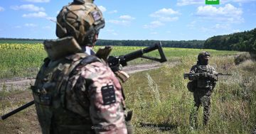 Армия России освободила Писаревку и Неженку