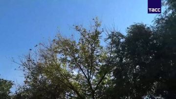 Кадры установления контроля над Храповщиной в Сумской области