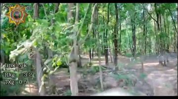 ���� ���������: ����������� ������� �� ��������� ����������� � ������� � ����� ����� ����������