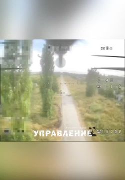 Сумское направление. Курские пограничники из «Суджа групп» обнаружили наёмника, прибывшего из Колумбии