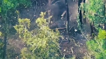Александр Коц: Кадры освобождения Садков. Бойцы подразделений 22-го мотострелкового полка 44-го армейского корпуса группировки войск «Север» установили контроль над населенным пунктом Садки Сумской области