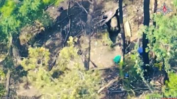 В Минобороны России сообщили об освобождении н.п. Великий Прикол и Садки в Сумской области