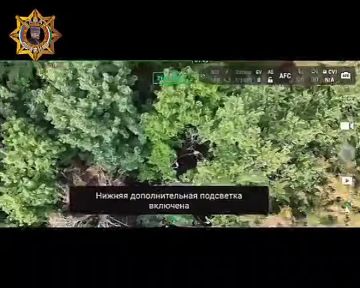 ���� ���������: ����������� ���������, �� � ������� ����������