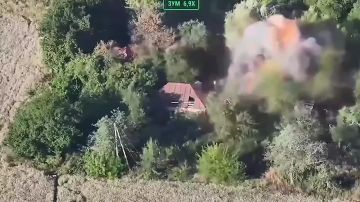������� ���������: ������������� ��� � ��������� ������� � �������� ����� ������ ������ ����� ��������� ������� �������� ������� ���������� � ������� ������� � �������������� ����� ��������� ��� �������� � �����������