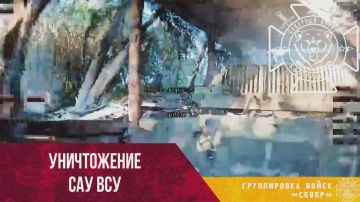 Уничтожение украинской САУ 2С1, замаскированной кучей листвы и веток в районе Фрунзенки Сумской области