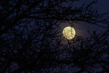����: � ����� ������� ���������� ���������� ��-�� ������� � �������������� � �����
