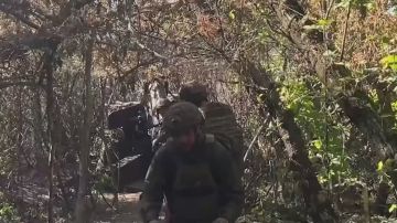 ��������� ���: ����� ���� �� �������. . ����� ��������� ������������� 80-� ��������� �������������� ������� ����������� ����� ������ ������ ������������� ��� �� ������� ������� ������� �������