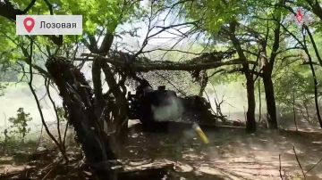 Минобороны показало кадры взятия под контроль подразделениями группировки войск «Север» населенных пунктов Петропавловка и Лозовая в Харьковской области, а также Марьино в Сумской области